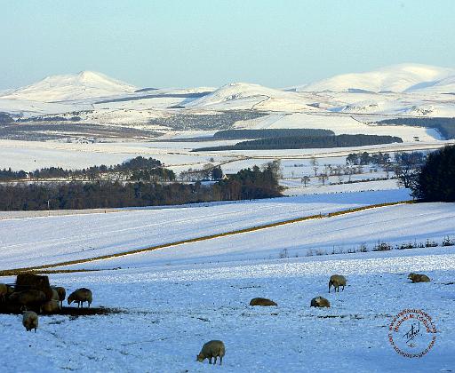 Scottish Borders 9C45D-25.JPG